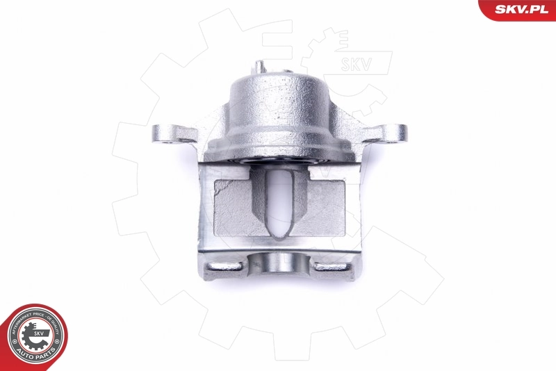 Brake Caliper 46SKV852