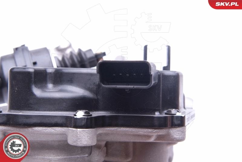ESEN SKV 14SKV158 EGR Valve