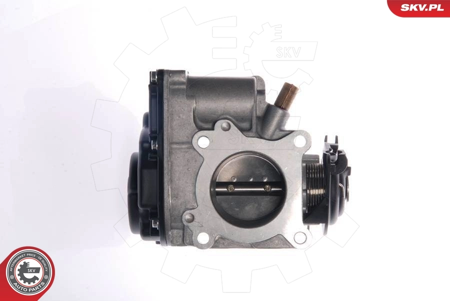 Throttle Body 12SKV015