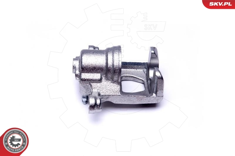 Brake Caliper 46SKV194