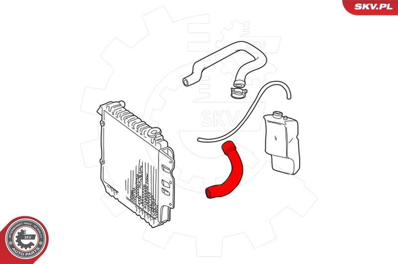Radiator Hose 43SKV615