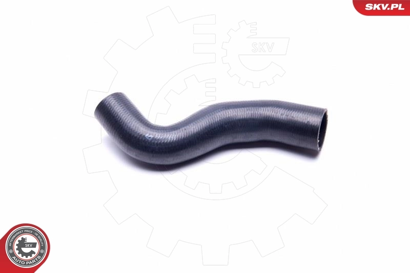 Radiator Hose 43SKV829