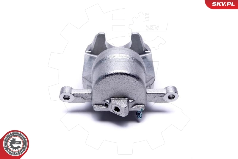 Brake Caliper 42SKV792