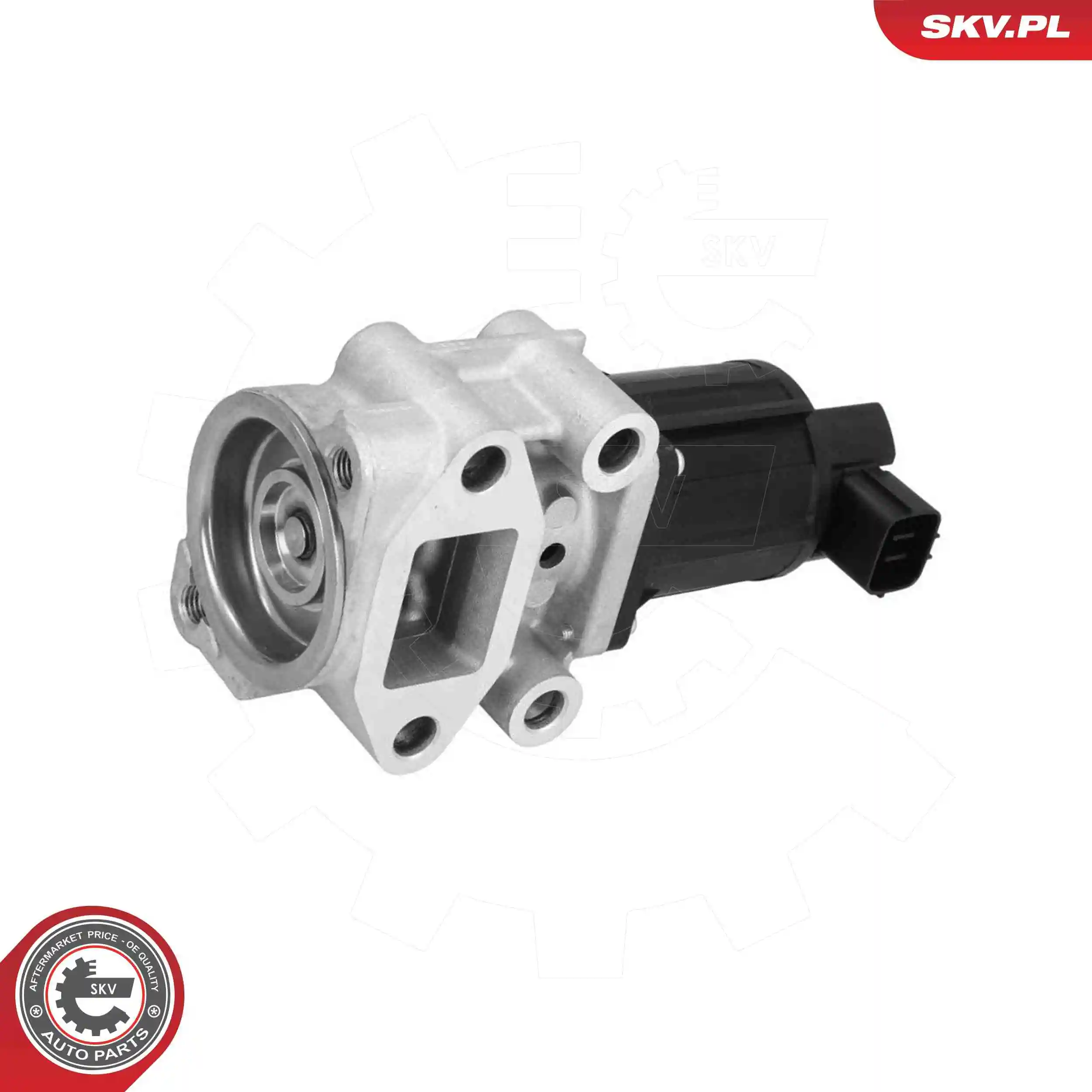 EGR Valve 14SKV300