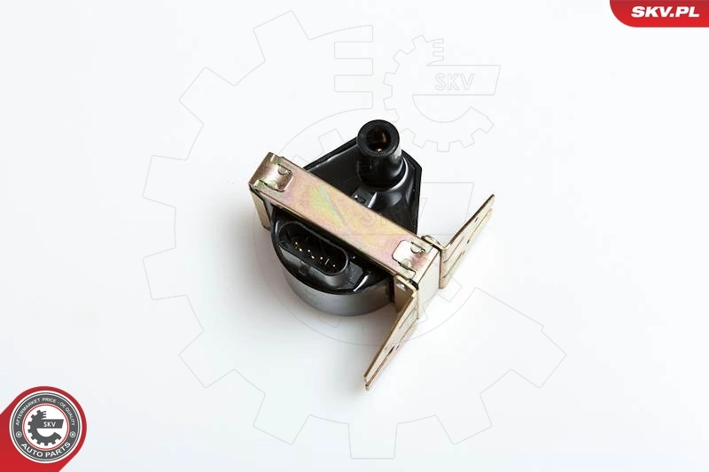Ignition Coil 03SKV005
