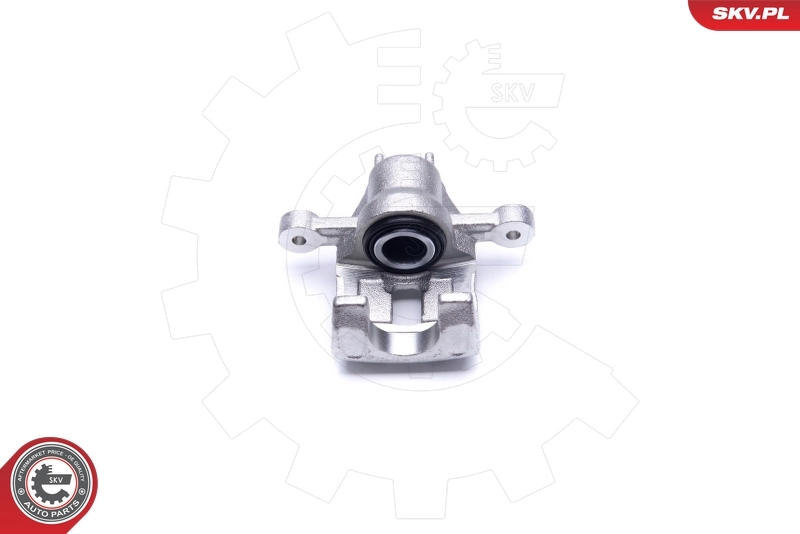Brake Caliper 42SKV564