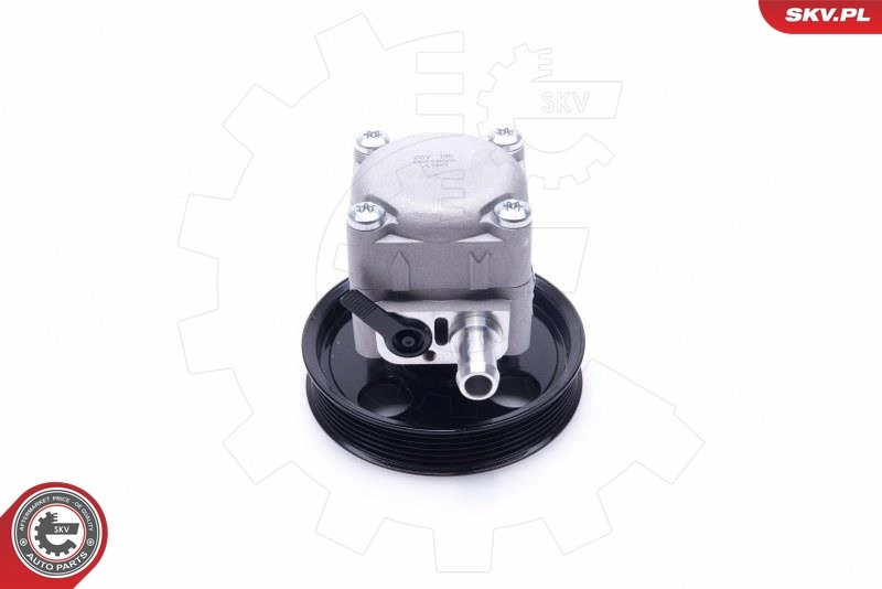 Hydraulic Pump, steering 10SKV293