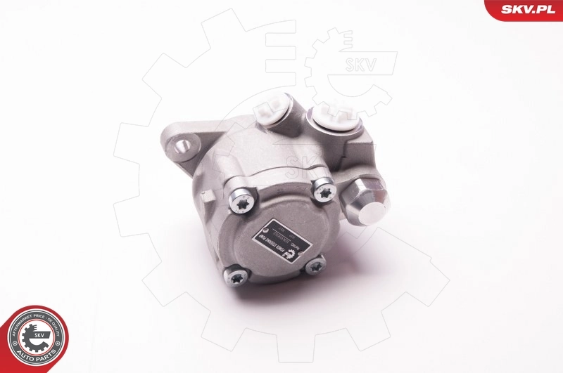ESEN SKV 1SKV0012 Hydraulic Pump, steering