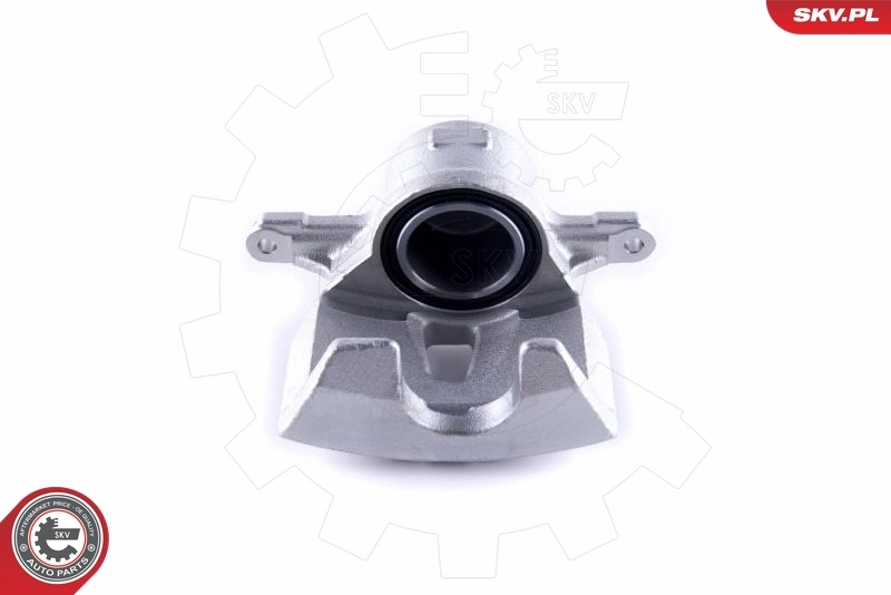 Brake Caliper 55SKV511