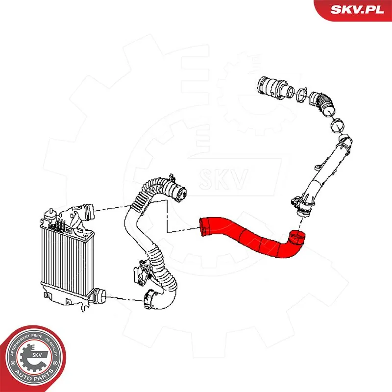 Charge Air Hose 43SKV492