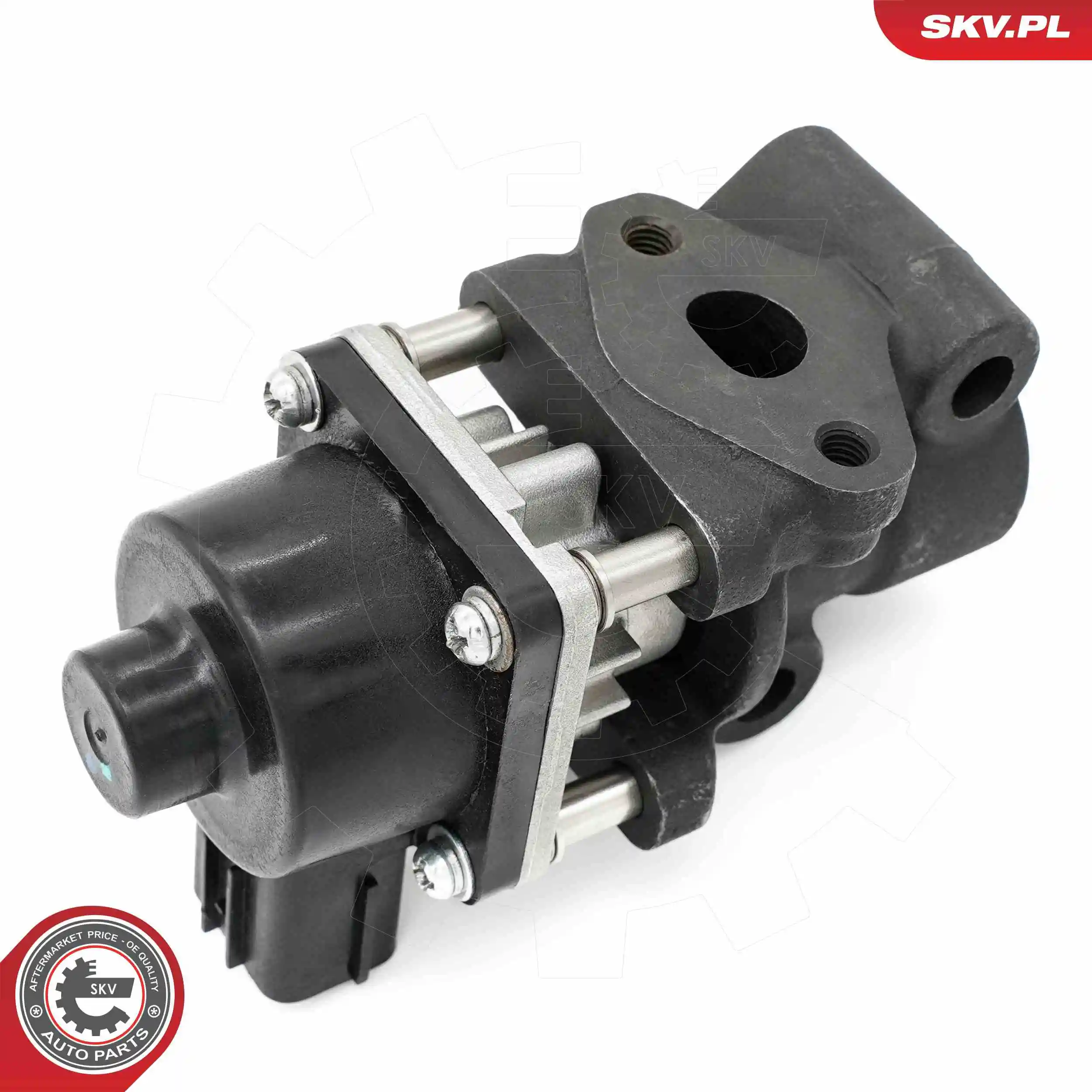 ESEN SKV 14SKV260 EGR Valve
