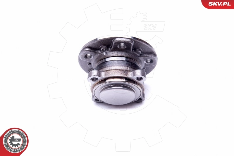 Wheel Bearing Kit 29SKV303