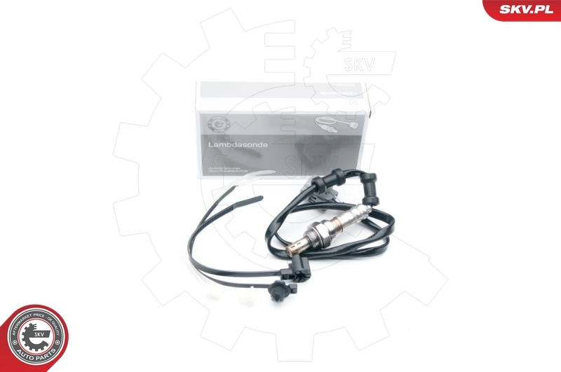 Oxygen Sensor 09SKV649