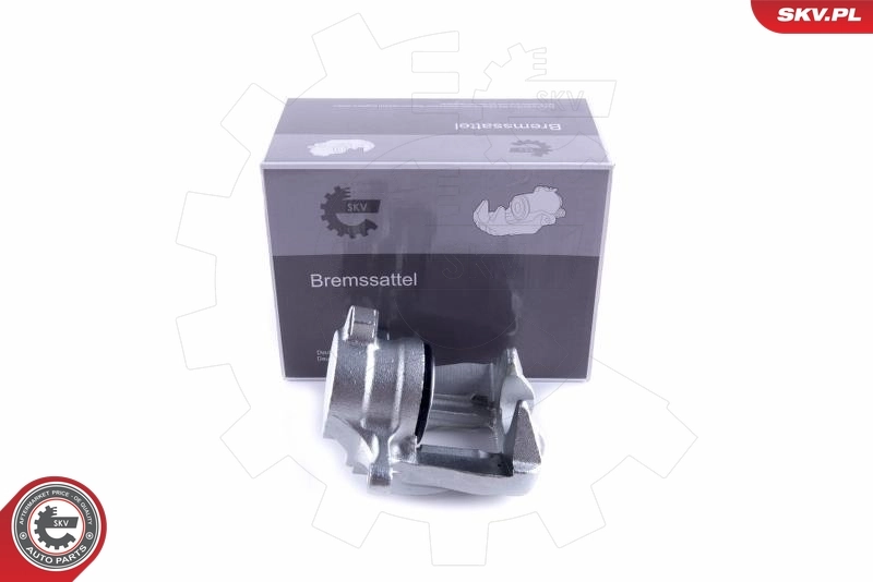 Brake Caliper 55SKV132