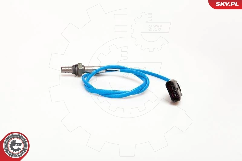 Oxygen Sensor 09SKV061