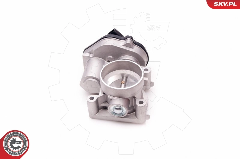 Throttle Body 12SKV069