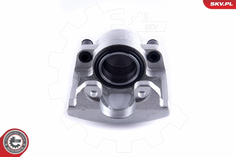 Brake Caliper 50SKV991