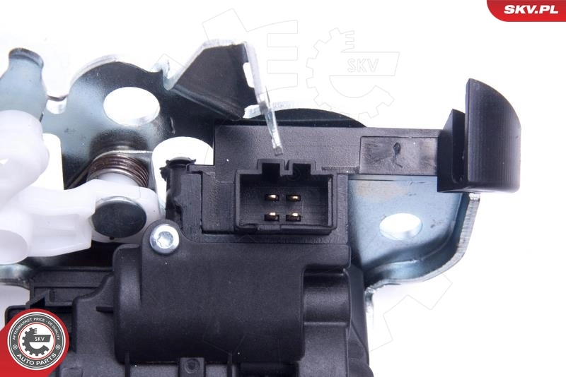 Tailgate Lock 16SKV297