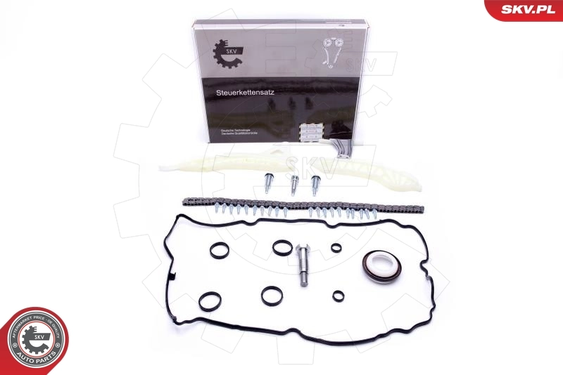 Timing Chain Kit 21SKV118