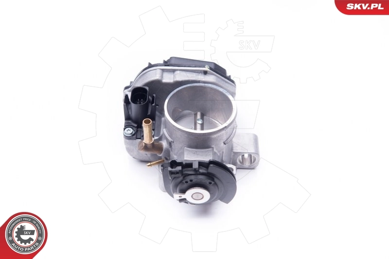 Throttle Body 12SKV035