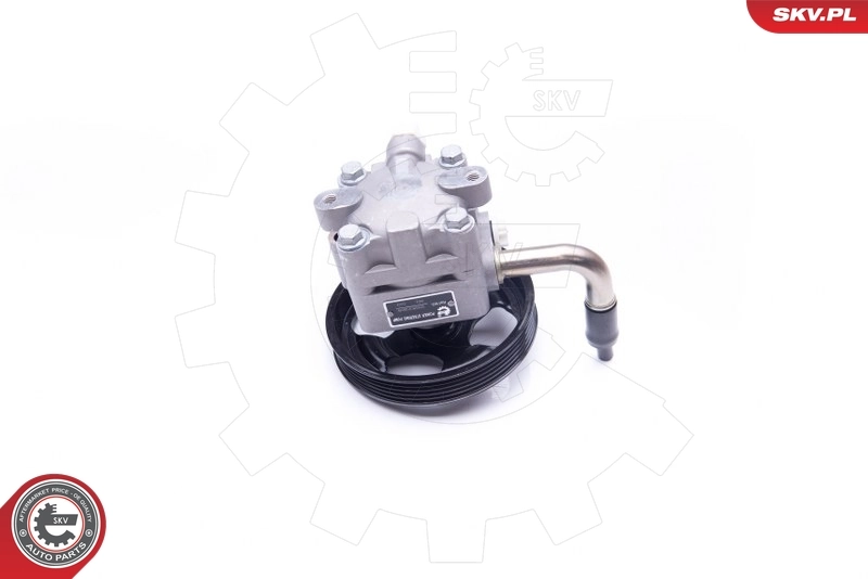 Hydraulic Pump, steering 10SKV268