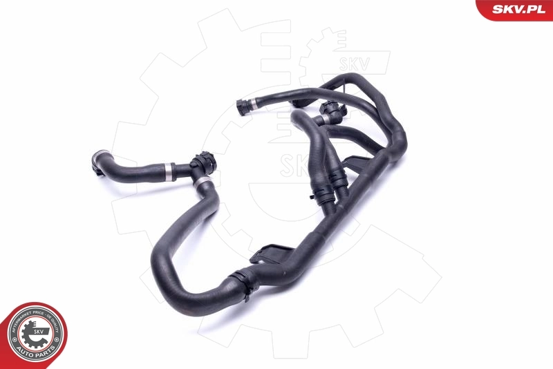 Coolant Pipe 54SKV173
