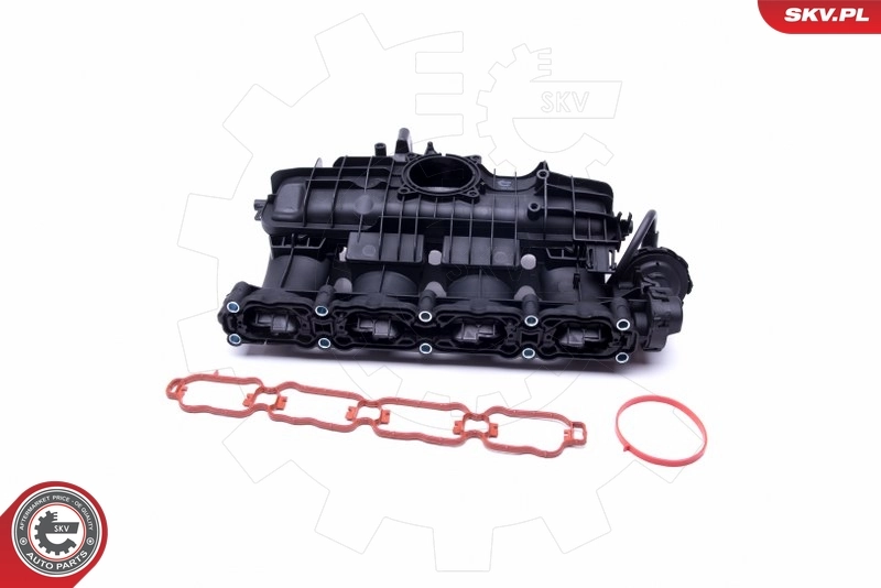 Intake Manifold Module 49SKV035