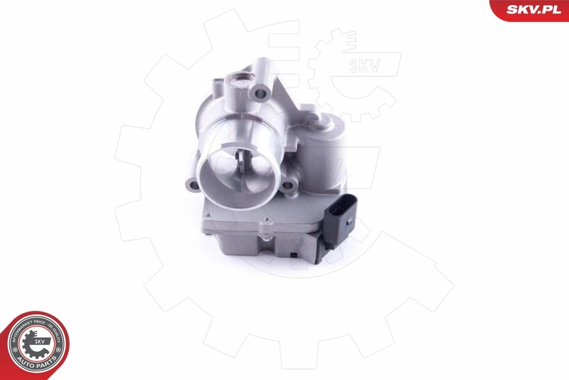 Throttle Body 12SKV090