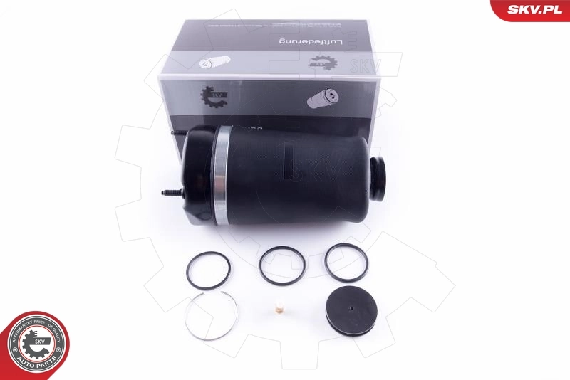 Air Spring, suspension 58SKV042