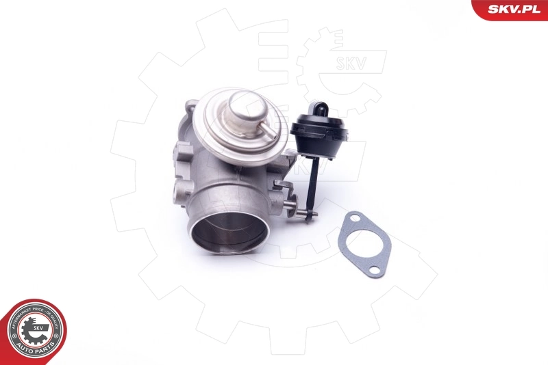 EGR Valve 14SKV106