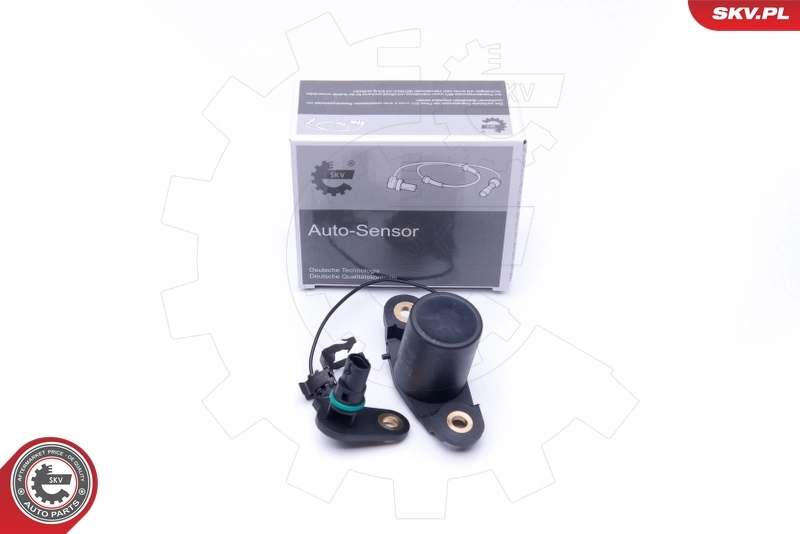 Sensor, engine oil level 17SKV401