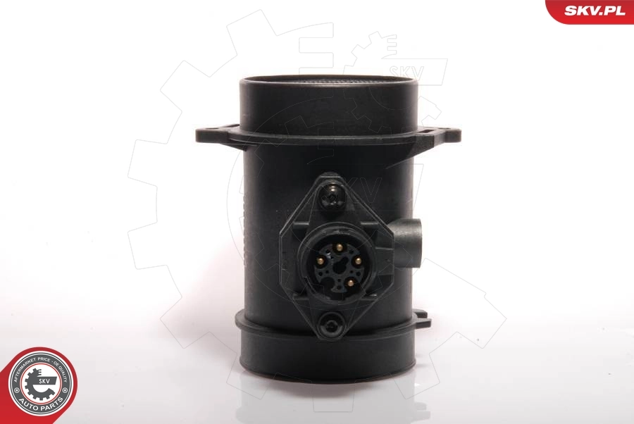 Mass Air Flow Sensor 07SKV019