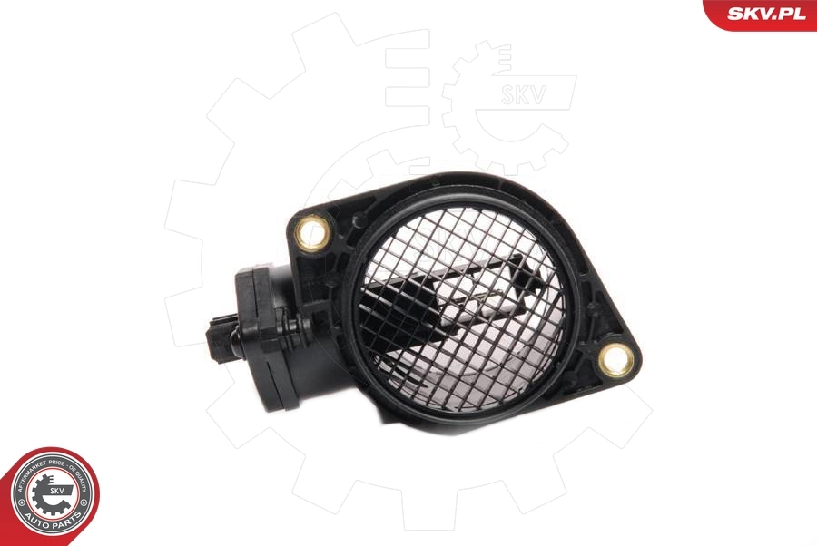 Mass Air Flow Sensor 07SKV003