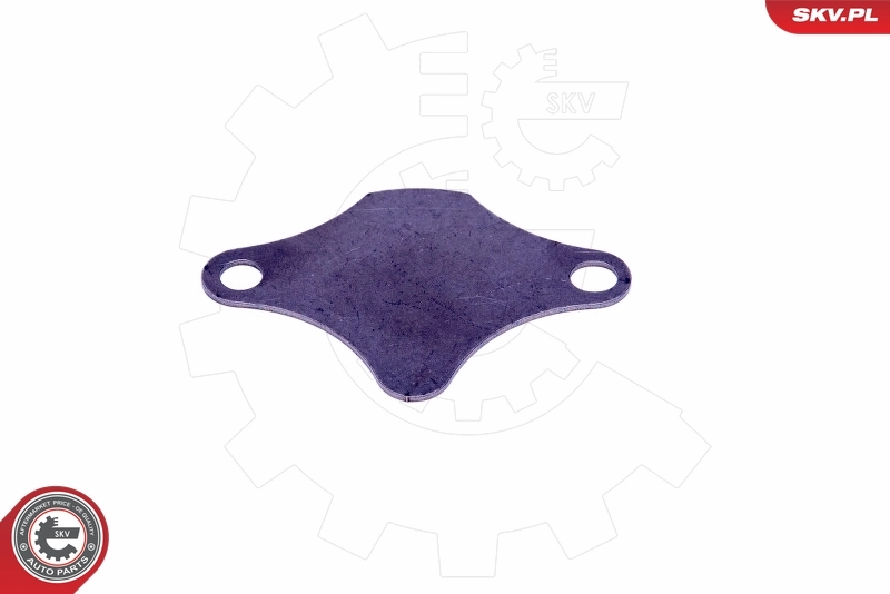 ESEN SKV 14SKV520 Repair Set, EGR valve