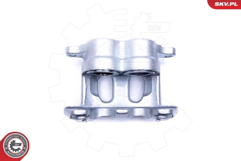 Brake Caliper 46SKV092