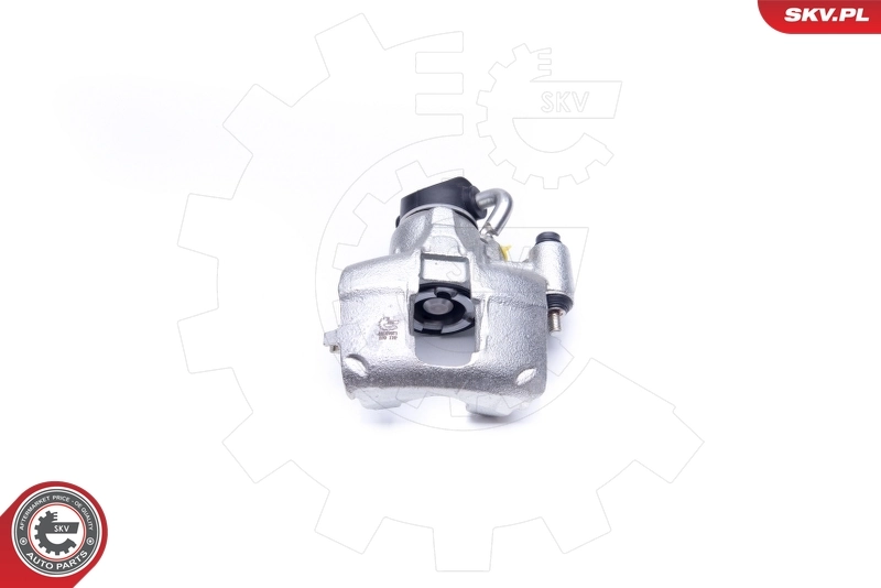 Brake Caliper 45SKV071