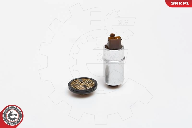 Fuel Pump 02SKV231