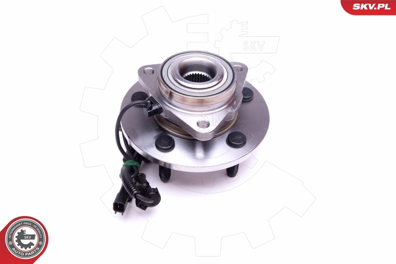 ESEN SKV 29SKV359 Wheel Bearing Kit
