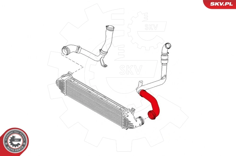 Charge Air Hose 43SKV047