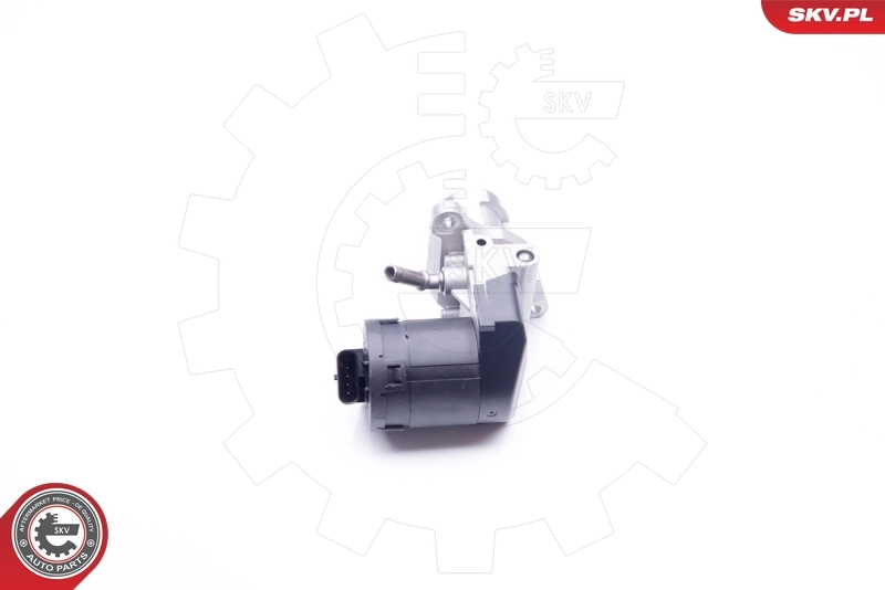 EGR Valve 14SKV169