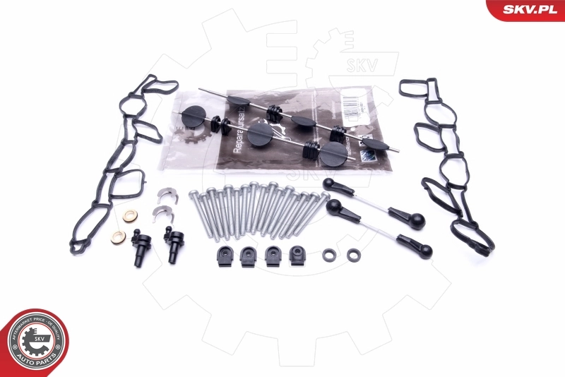 Repair Kit, intake manifold module 49SKV501