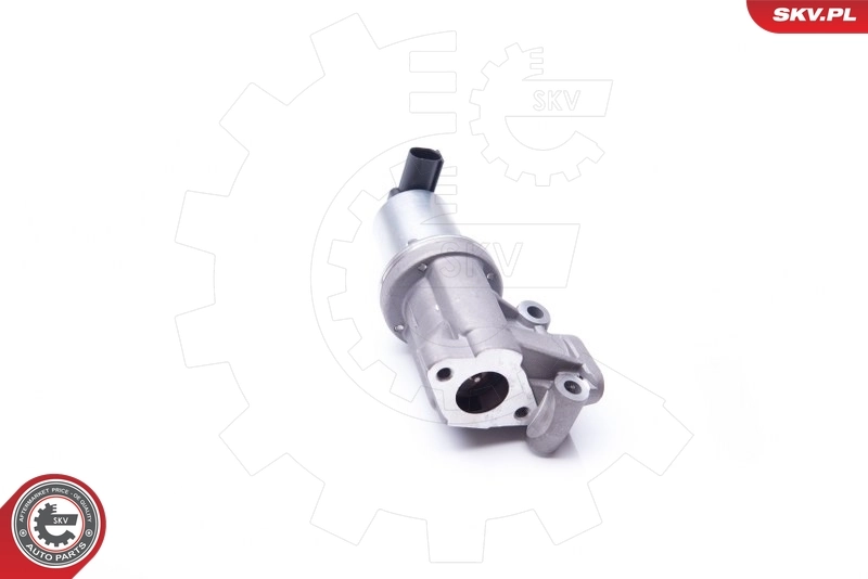 EGR Valve 14SKV105