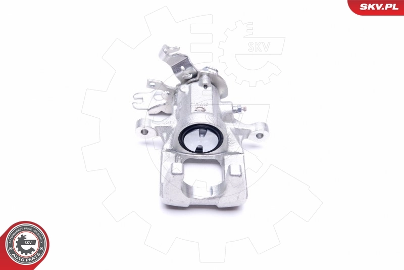 Brake Caliper 45SKV624