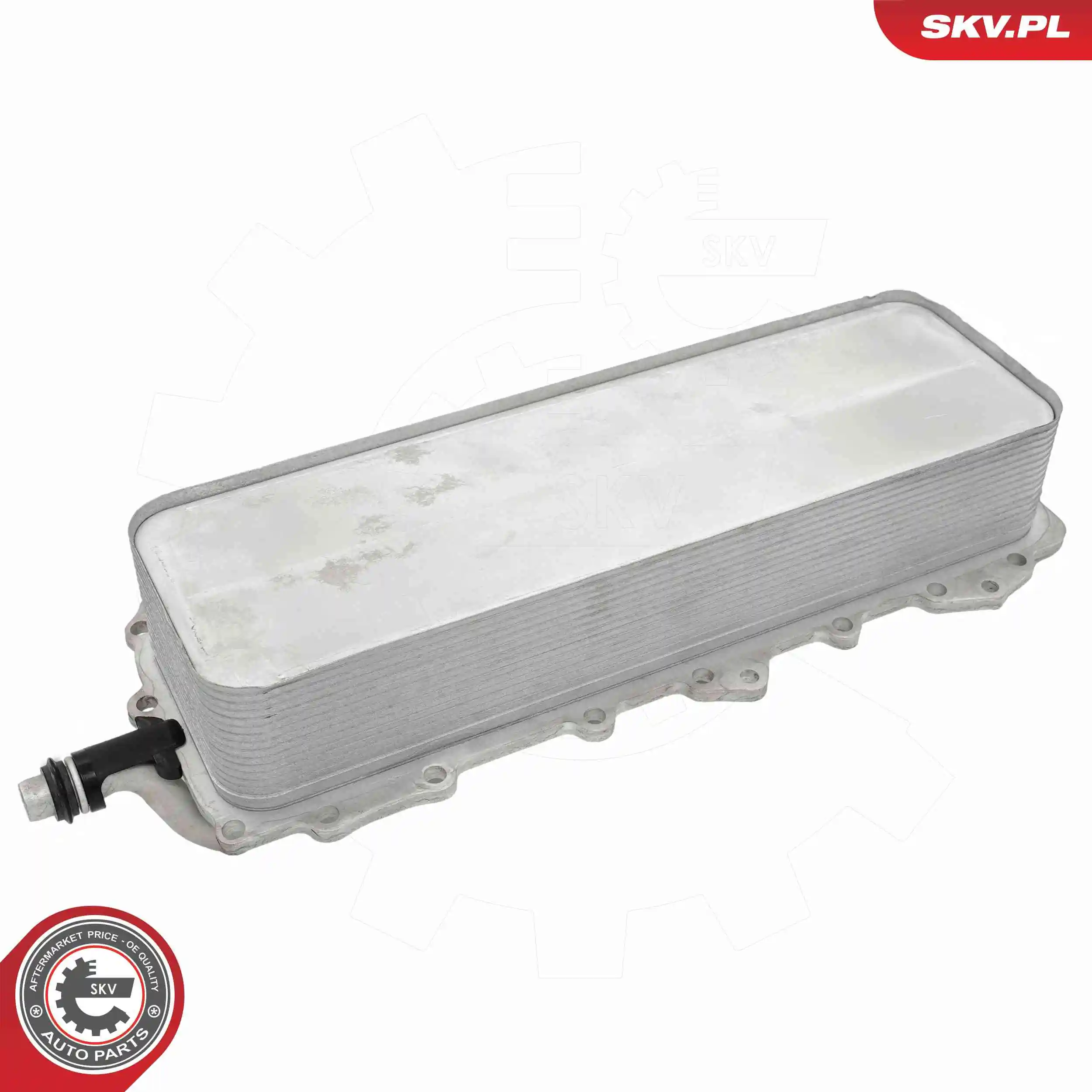 Oil Cooler, engine oil 31SKV361