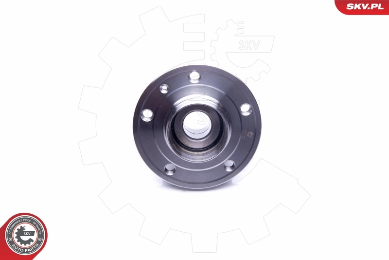 Wheel Bearing Kit 29SKV198