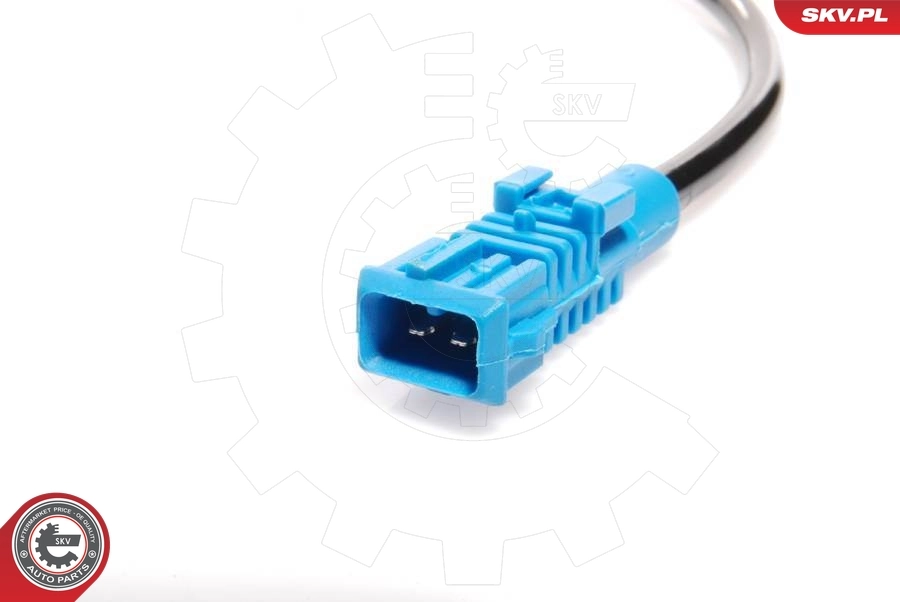 Sensor, wheel speed 06SKV090