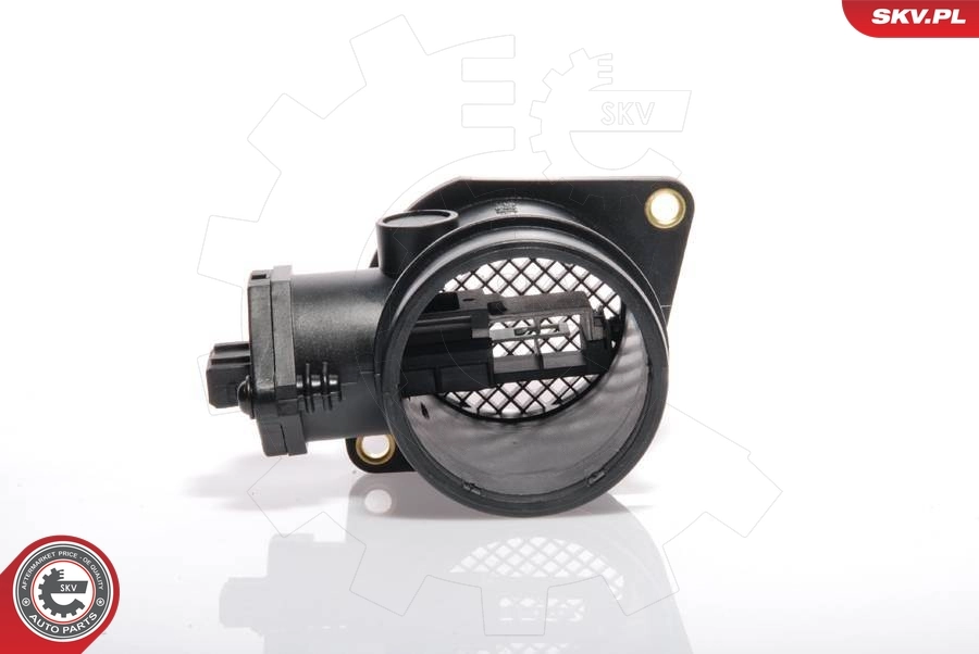 Mass Air Flow Sensor 07SKV003
