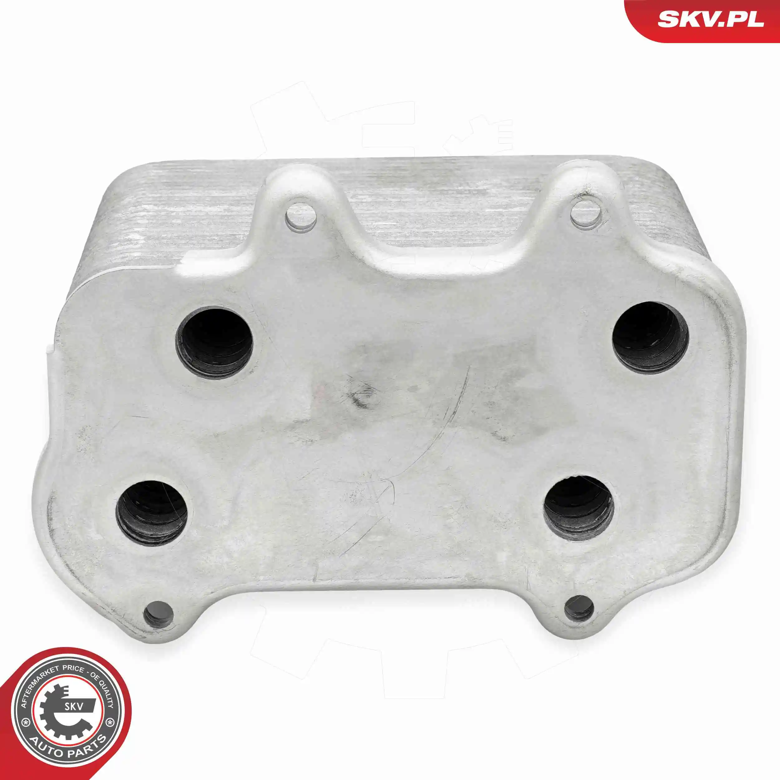 Oil Cooler, engine oil 31SKV284