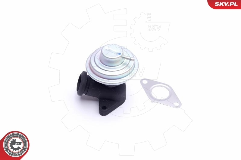 EGR Valve 14SKV205