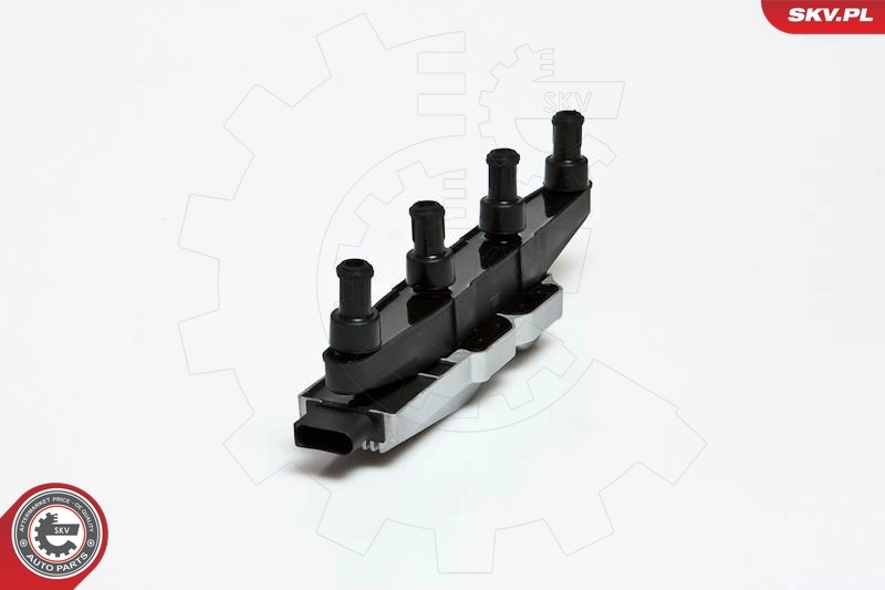 Ignition Coil 03SKV029